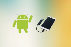 Using an OTG Cable on samsung bypass