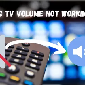 How to Fix Samsung TV Volume, not Working