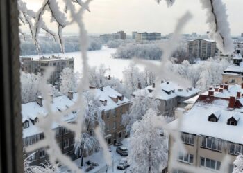 Новогодний стол, после которого она поседела