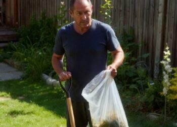 Соседи без правил: ночь, когда терпение лопнуло